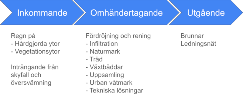 Vattnets väg