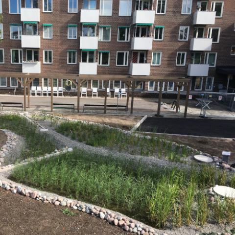 Urban våtmark i Nockeby