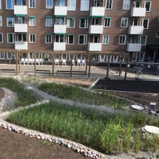 Urban våtmark i Nockeby